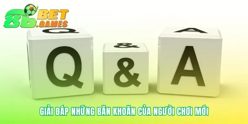 Trả lời cho các câu hỏi hay gặp nhất